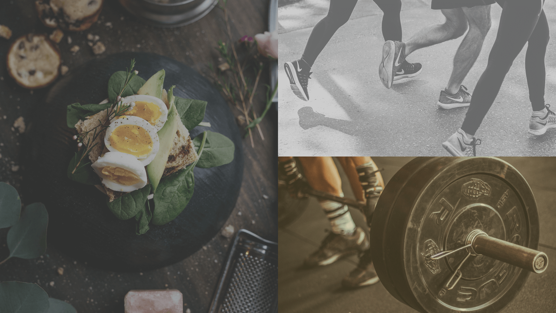 برامج تغذية رياضية